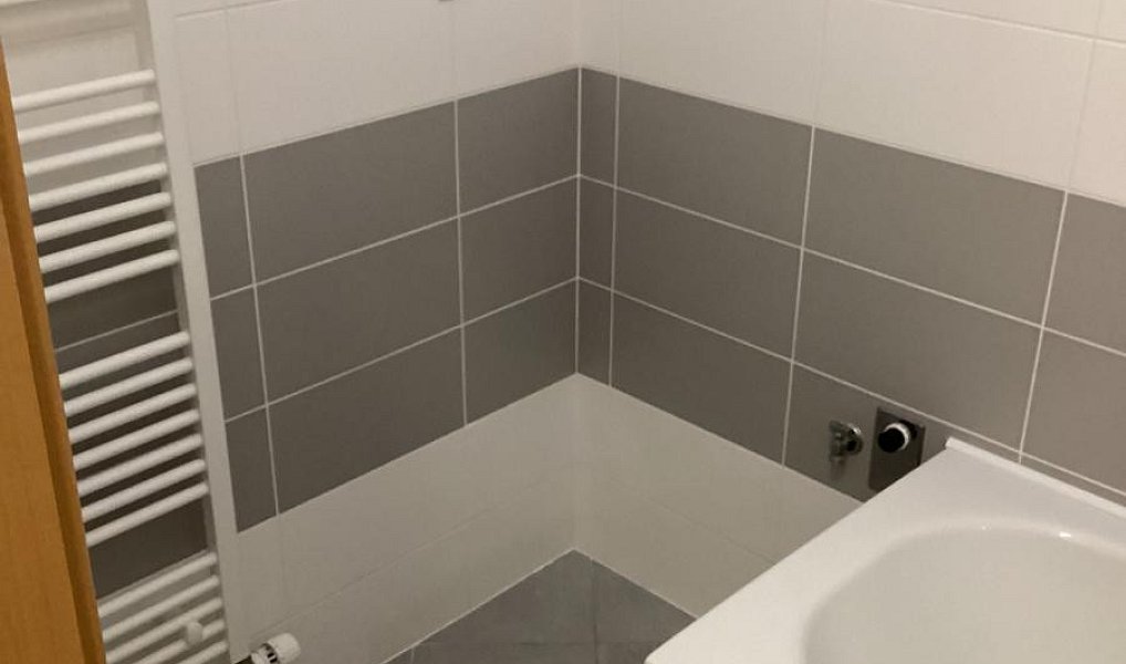 Prodej domu 806 m² s pozemkem 428 m², Ostrava – náhled fotky 16