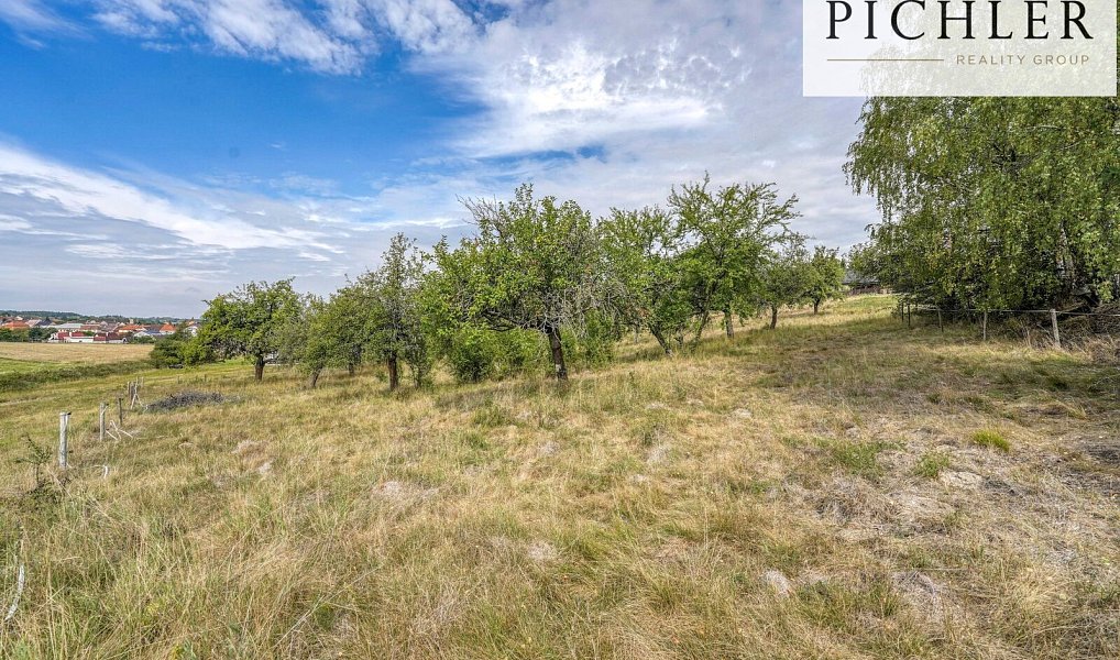 Prodej stavebního pozemku 10 447 m², Radnice – náhled fotky 22