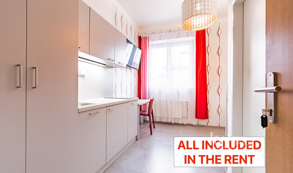 Pronájem bytu 1+kk, 18 m², Nusle - Praha 4, Praha