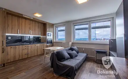 Pronájem bytu 1+kk 30 m²