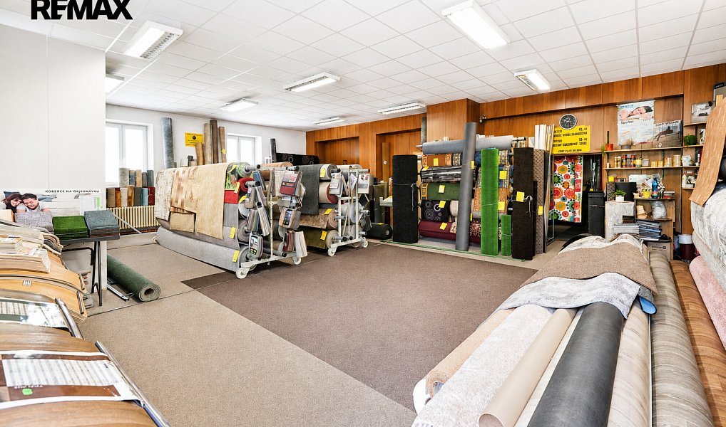 Prodej obchodních prostor 330 m², Doudleby nad Orlicí – náhled fotky 4