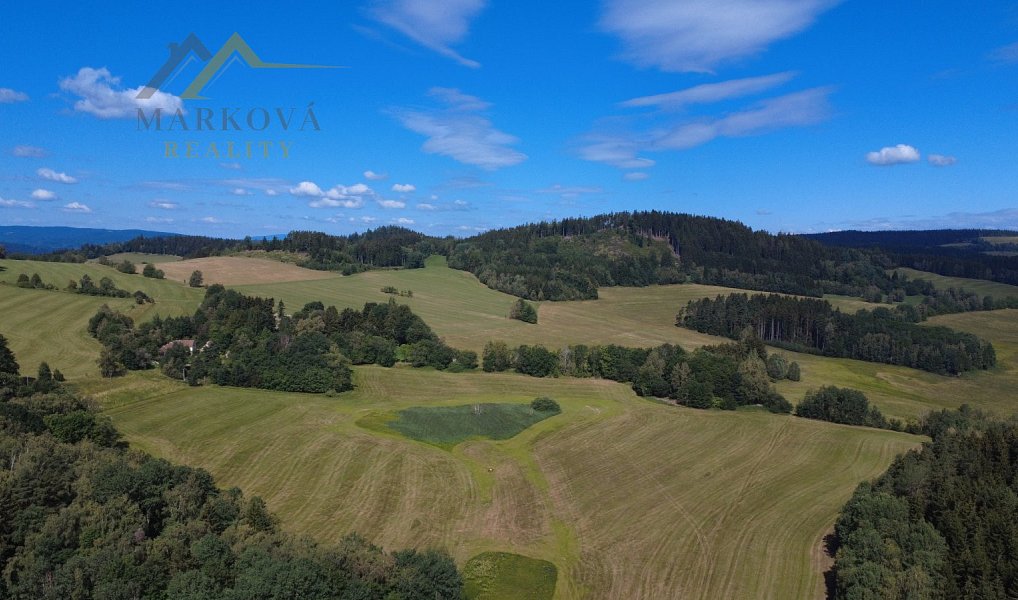 Prodej domu 219 m² s pozemkem 4 179 m², Bujanov – náhled fotky 36