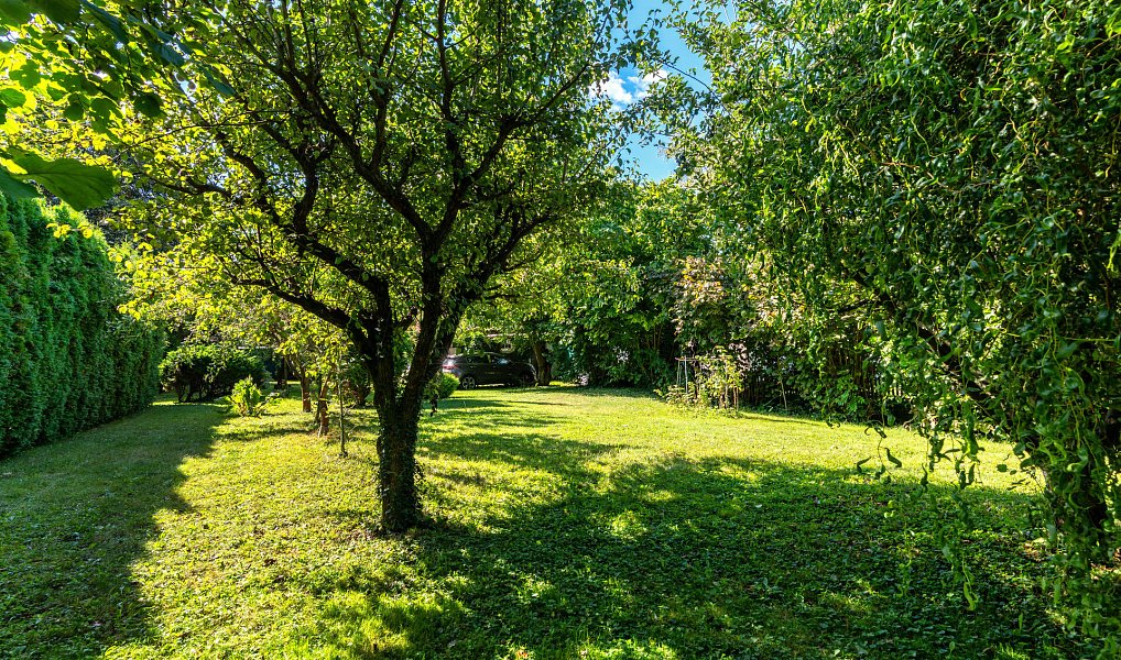 Prodej domu 50 m² s pozemkem 793 m², Velký Osek – náhled fotky 9