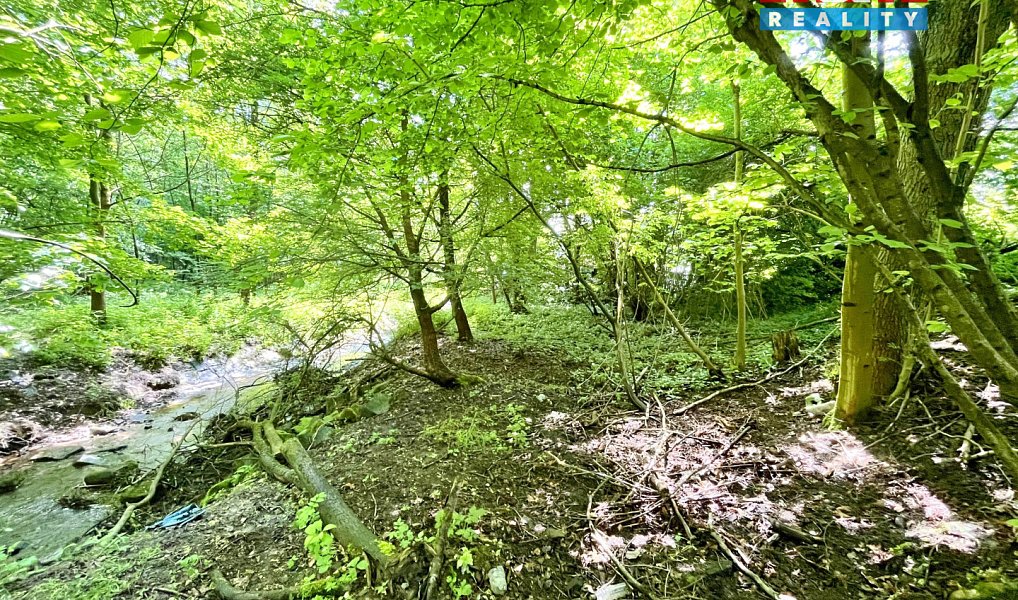 Prodej vodní plochy 3 255 m², Skalice u České Lípy – náhled fotky 10