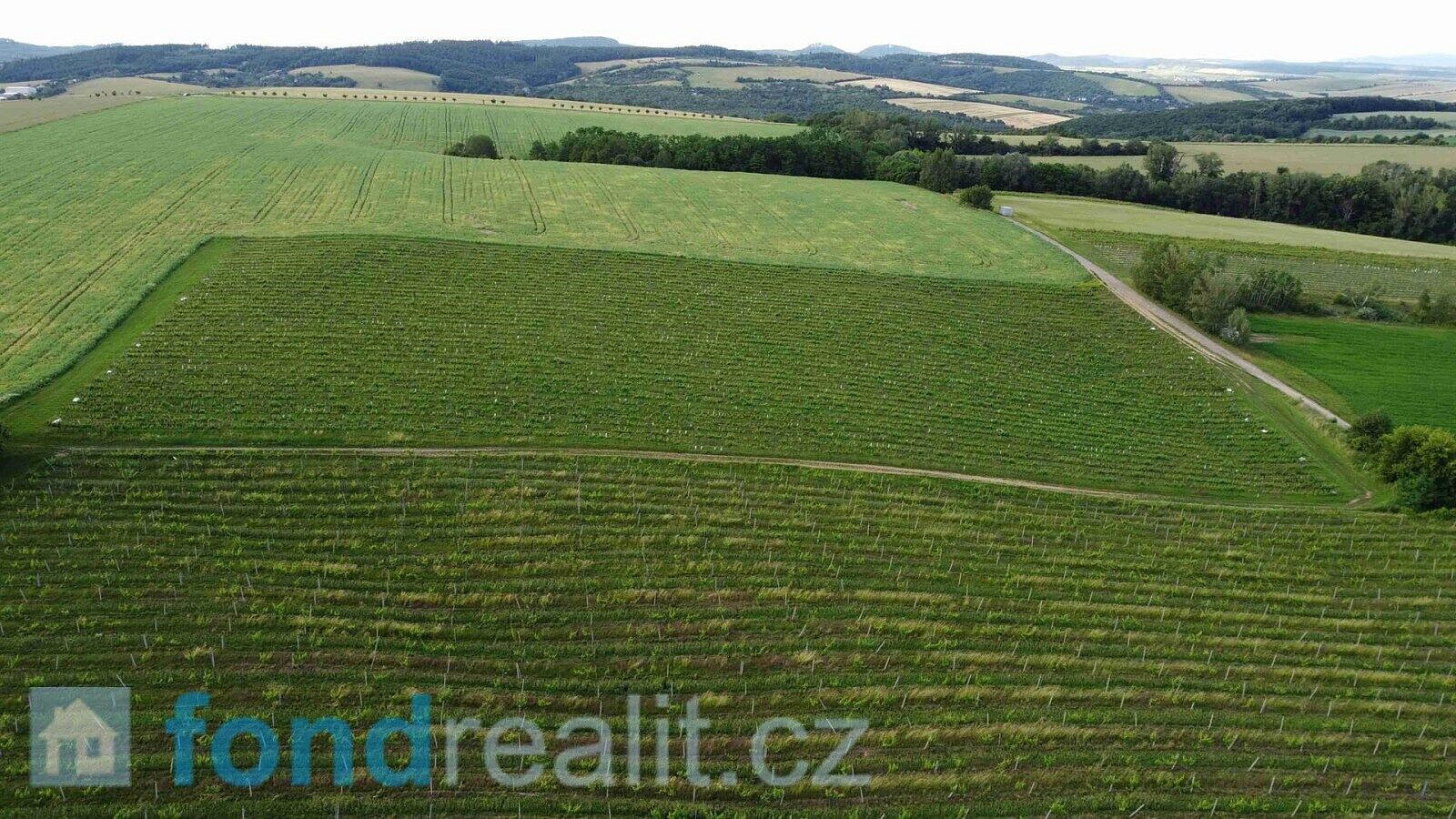 Prodej pozemku 27 055 m² – fotografie 3