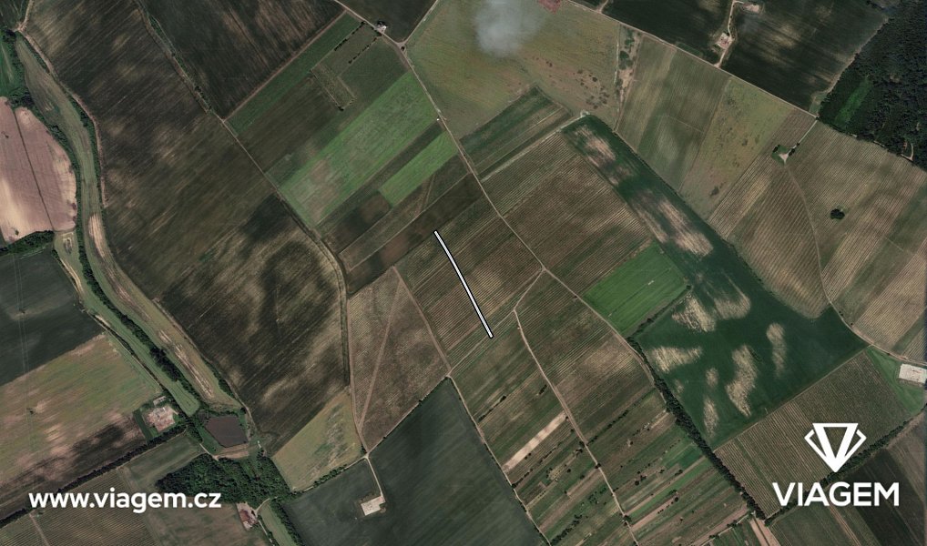 Prodej pole 1 303 m², Prušánky – náhled fotky 3