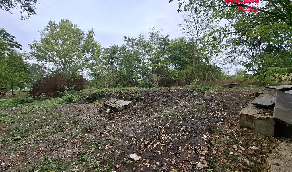 Prodej lesa 815 m², Šakvice – náhled fotky 5