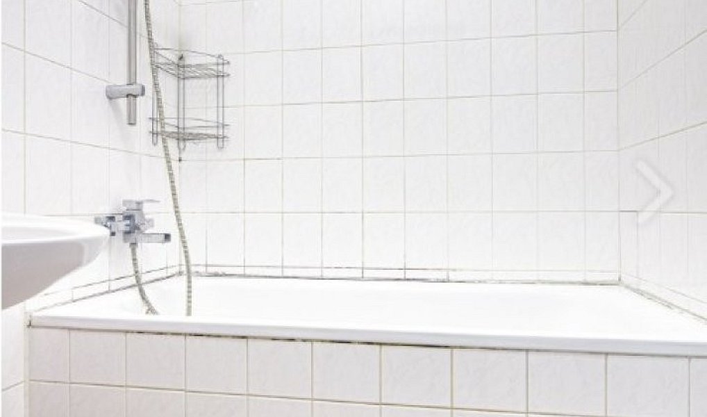 Prodej bytu 1+1 39 m², Vrbno pod Pradědem – náhled fotky 7