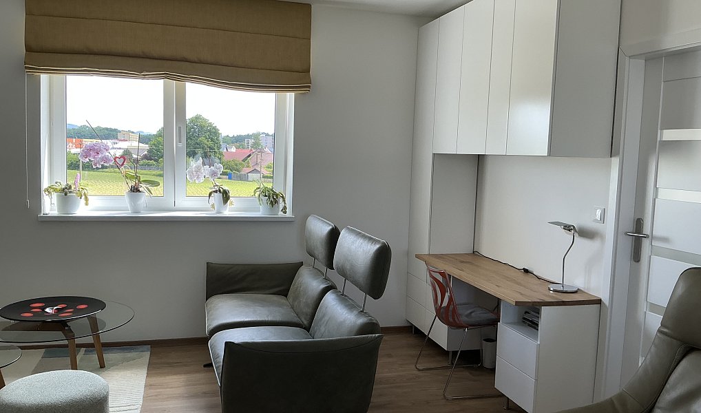 Prodej bytu 3+kk 90 m², Žamberk – náhled fotky 13