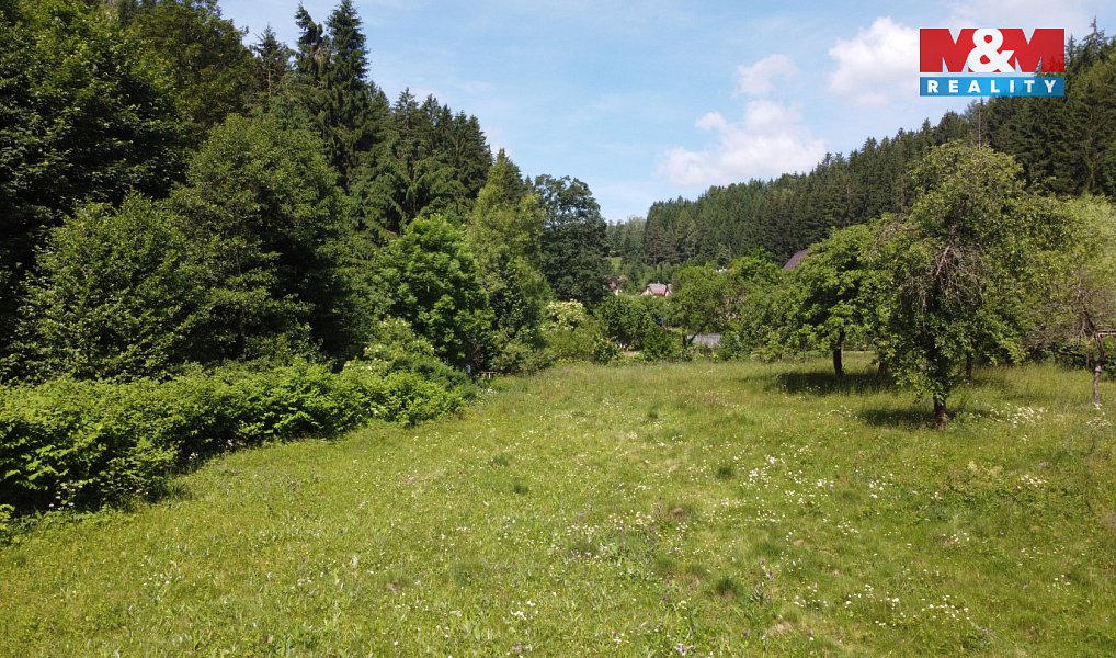 Prodej stavebního pozemku 3 359 m², Plavy – náhled fotky 9