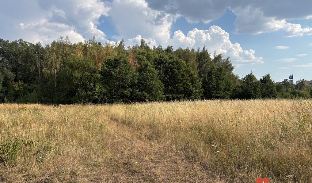 Prodej komerčního pozemku 4 386 m², Plzeň – náhled fotky 8