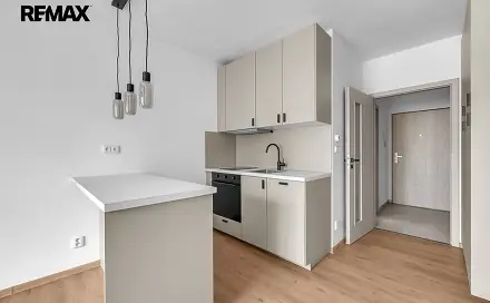 Pronájem bytu 1+kk 25 m², Topolová, Milovice - Mladá, okres Nymburk