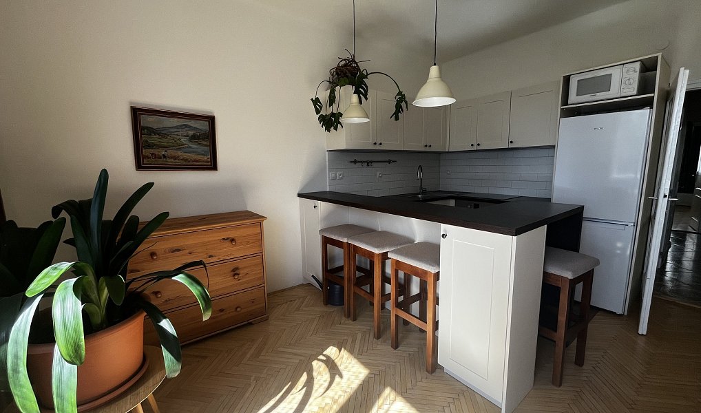 Pronájem bytu 3+kk 67 m², Praha – náhled fotky 4