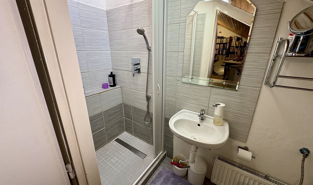 Prodej domu 206 m² s pozemkem 692 m², Budišov nad Budišovkou – náhled fotky 14