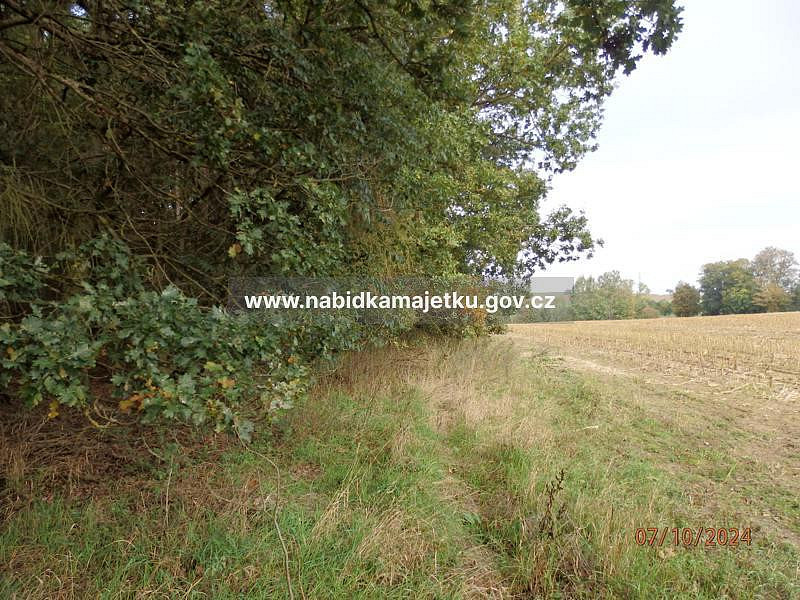 Prodej pole 1 044 m² – fotografie 2
