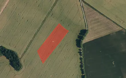 Prodej pole 13 981 m², Babice, okres Třebíč