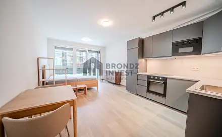 Pronájem bytu 1+kk 34 m²
