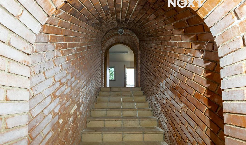 Prodej domu 282 m² s pozemkem 3 202 m², Křepice – náhled fotky 23