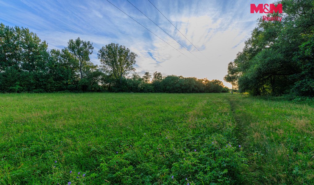Prodej louky 4 590 m², Horní Bříza – náhled fotky 11
