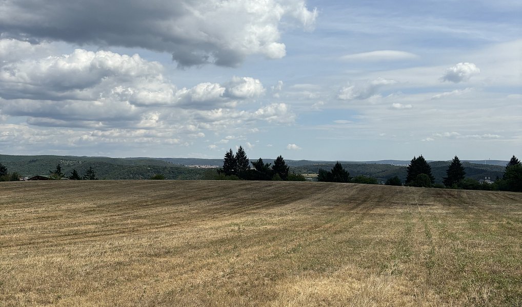 Prodej stavebního pozemku 2 440 m², Brno – náhled fotky 6