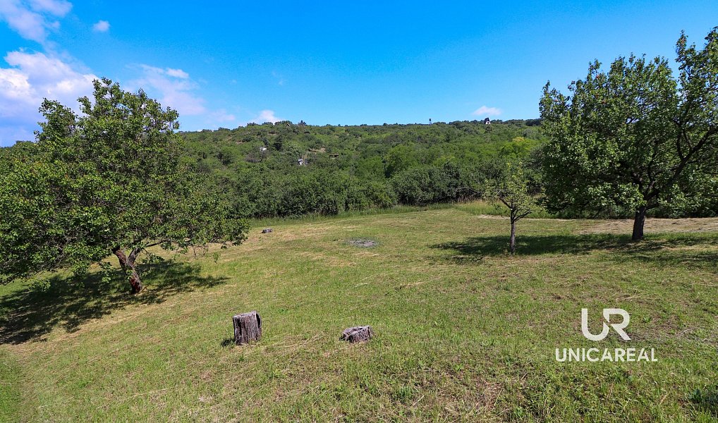 Prodej pole 3 851 m², Židlochovice – náhled fotky 14