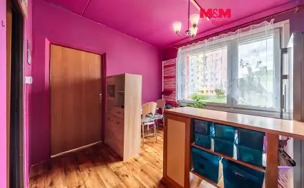 Prodej bytu 2+1 39 m², Brněnská, Plzeň - Severní Předměstí