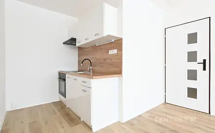 Prodej bytu 2+kk 40 m², Františka Malíka, Most