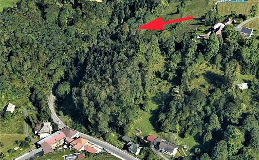 Prodej lesa 987 m², Koberovy, okres Jablonec nad Nisou