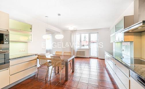 Pronájem bytu 6+kk 293 m², Psohlavců, Praha 4 - Braník