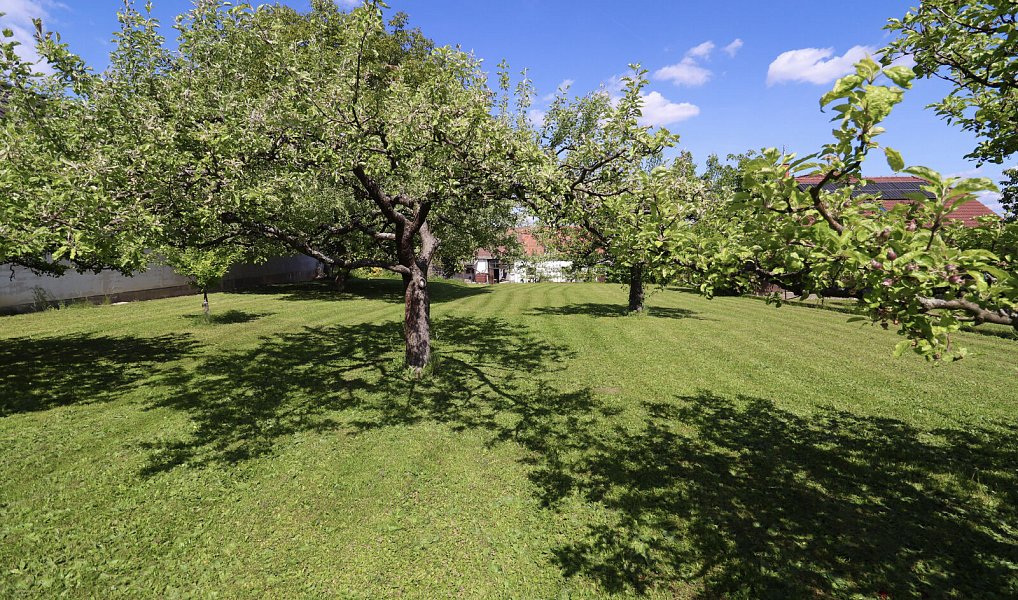 Prodej domu 171 m² s pozemkem 2 693 m², Strážkovice – náhled fotky 23