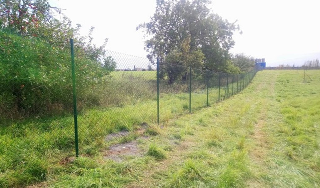 Pronájem zahrady 384 m², Jaroměř – náhled fotky 10