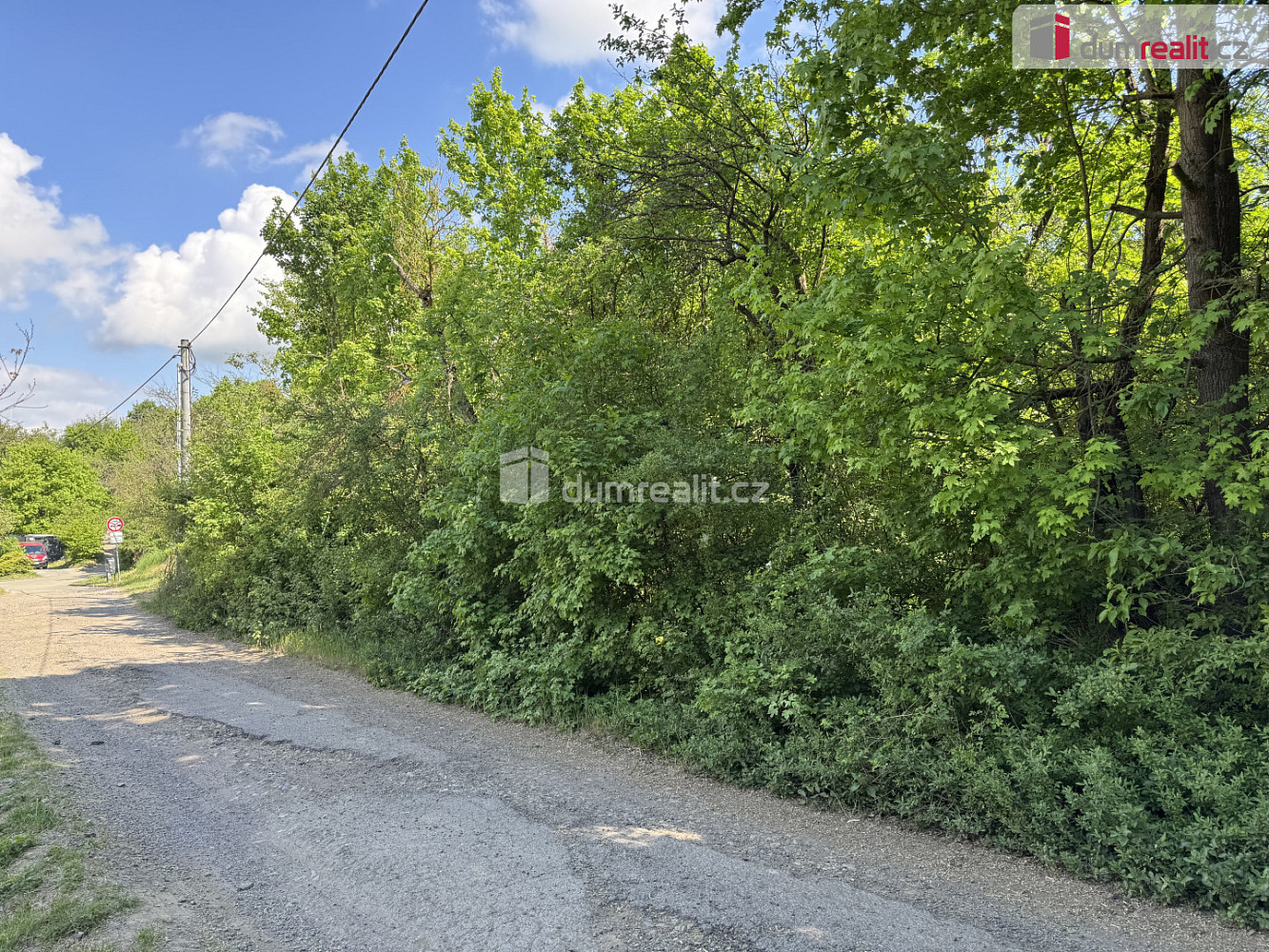 Prodej louky 5 056 m² — photo 2