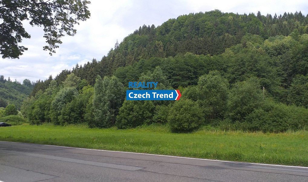 Prodej stavebního pozemku 4 500 m², Hanušovice – náhled fotky 3