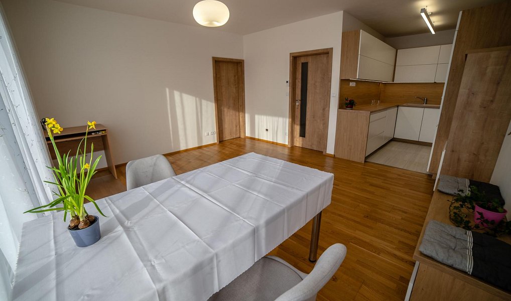 Pronájem bytu 2+kk 57 m², Olomouc – náhled fotky 6
