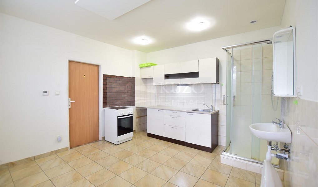 Pronájem bytu 1+1 37 m², Plzeň – náhled fotky 2