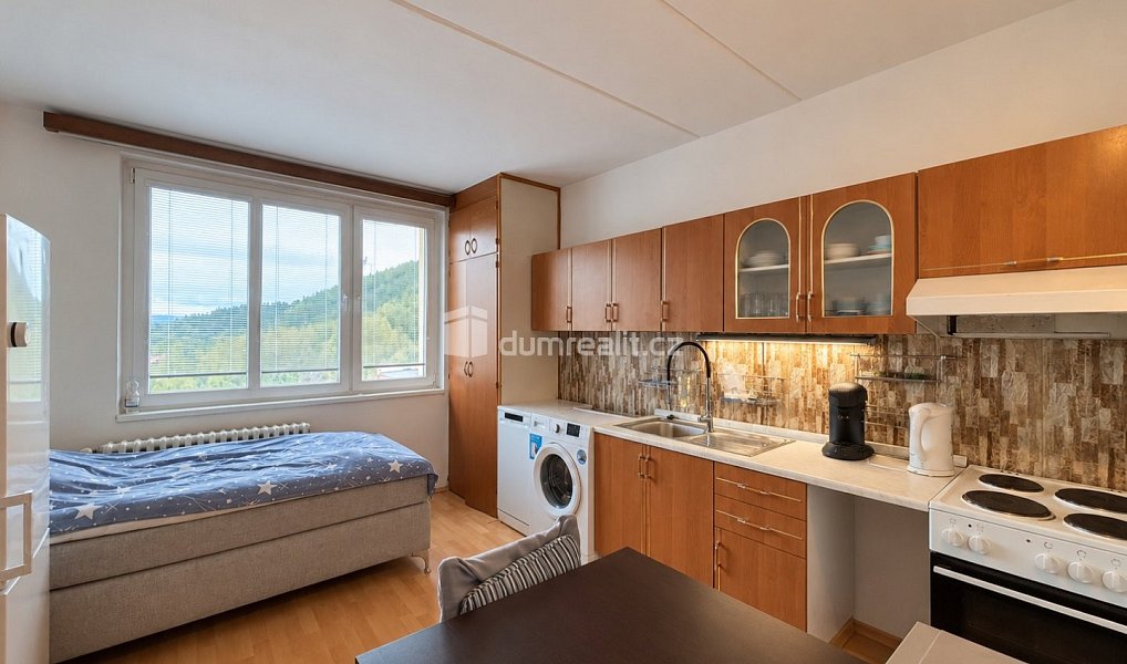 Prodej bytu 1+1 38 m², Oloví – náhled fotky 5