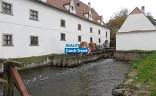 Ostatní