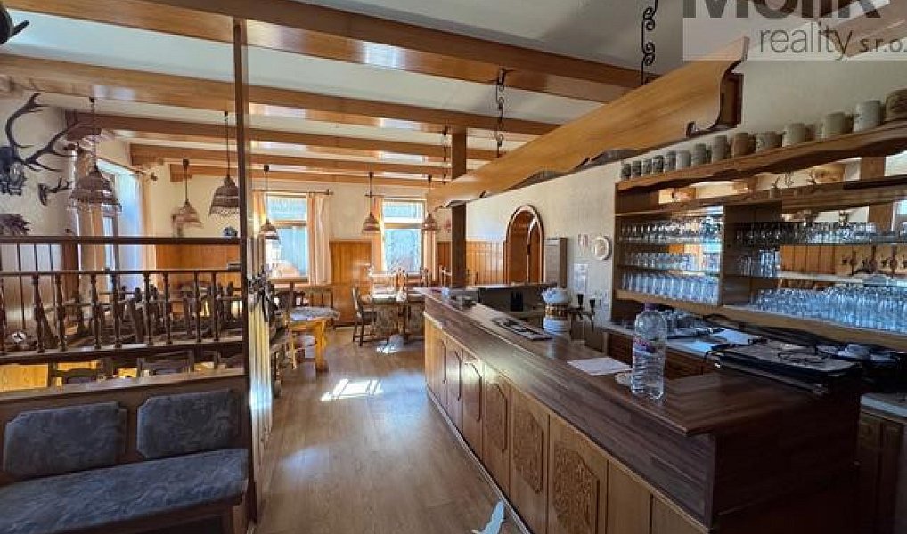 Prodej ubytovacího objektu 1 753 m², Český Jiřetín – náhled fotky 8