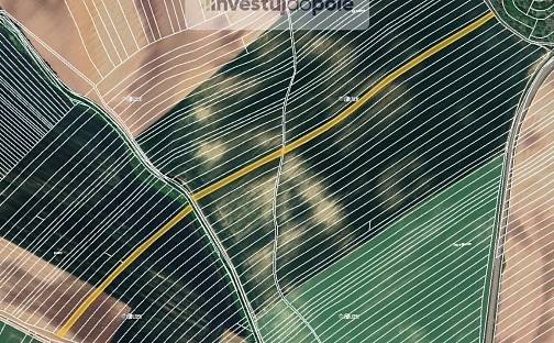 Prodej pole 8 100 m², Čejkovice, okres Hodonín