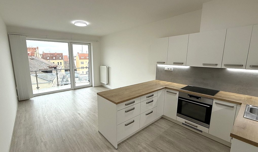 Pronájem bytu 2+kk 59 m², Plzeň – náhled fotky 5