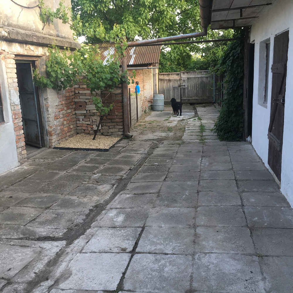 Prodej domu 810 m² s pozemkem 1 710 m² — photo 2