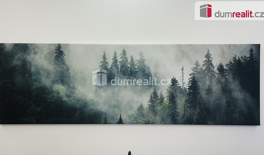 Prodej bytu 2+kk 48 m², Abertamy – náhled fotky 15