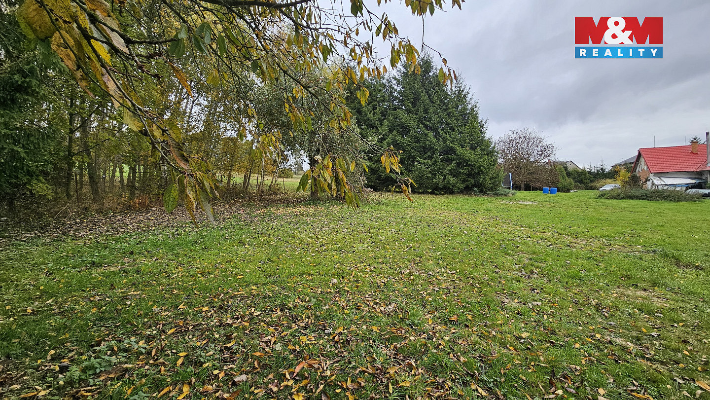 Prodej louky 2 768 m² – fotografie 3