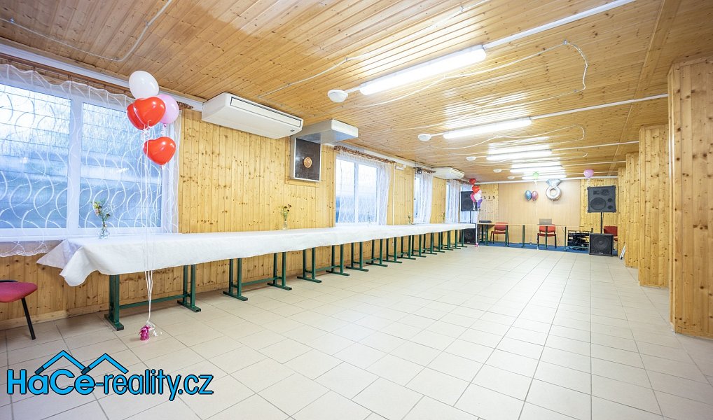 Prodej komerčního objektu (jiného typu) 572 m², Slatina nad Zdobnicí – náhled fotky 16