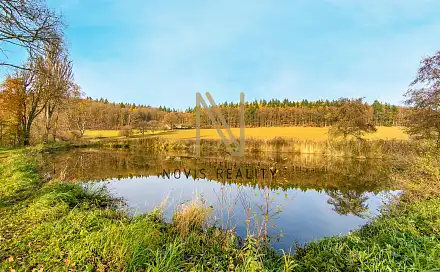Prodej vodní plochy 2 713 m², Týnec, okres Klatovy