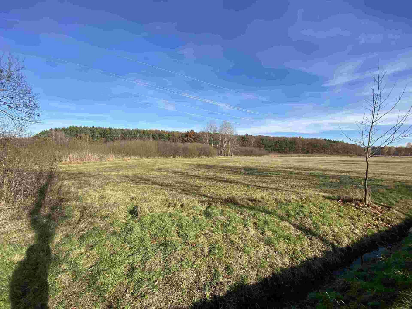 Prodej pole 8 684 m² – pohled 5