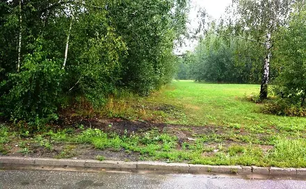 Prodej komerčního pozemku 6 000 m², Dolní Krčmy, Mohelnice, okres Šumperk