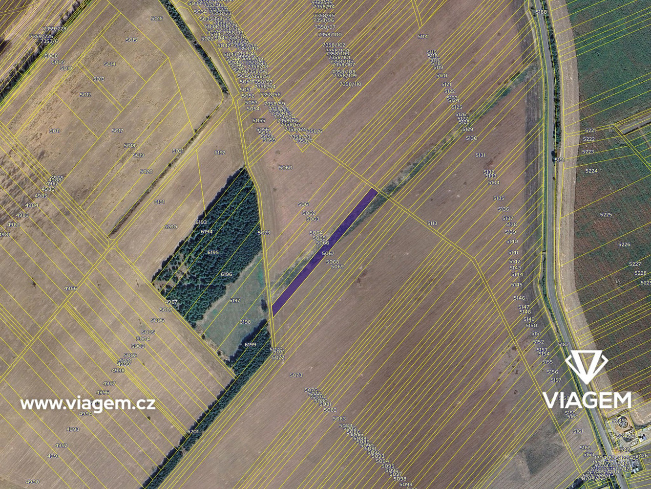 Prodej pole 1 656 m² – fotografie 4