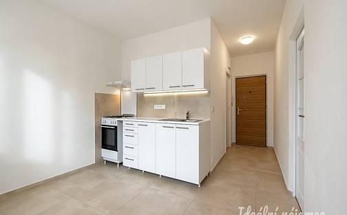 Pronájem bytu 1+1 36 m², Olbramovická, Praha 4 - Kamýk