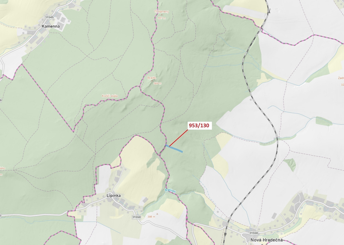 Dražba lesa 5 079 m²